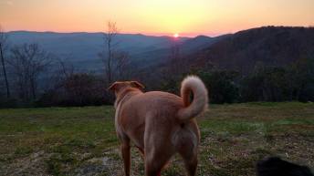 Sweet girl Awesome pic